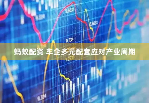 蚂蚁配资 车企多元配套应对产业周期